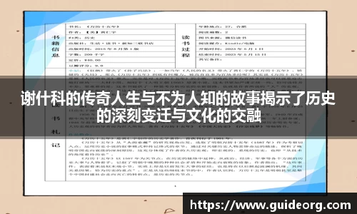 mk体育官网
